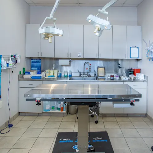 Operating Room at Windhaven Veterinary Hospital Operating Room at Windhaven Veterinary Hospital