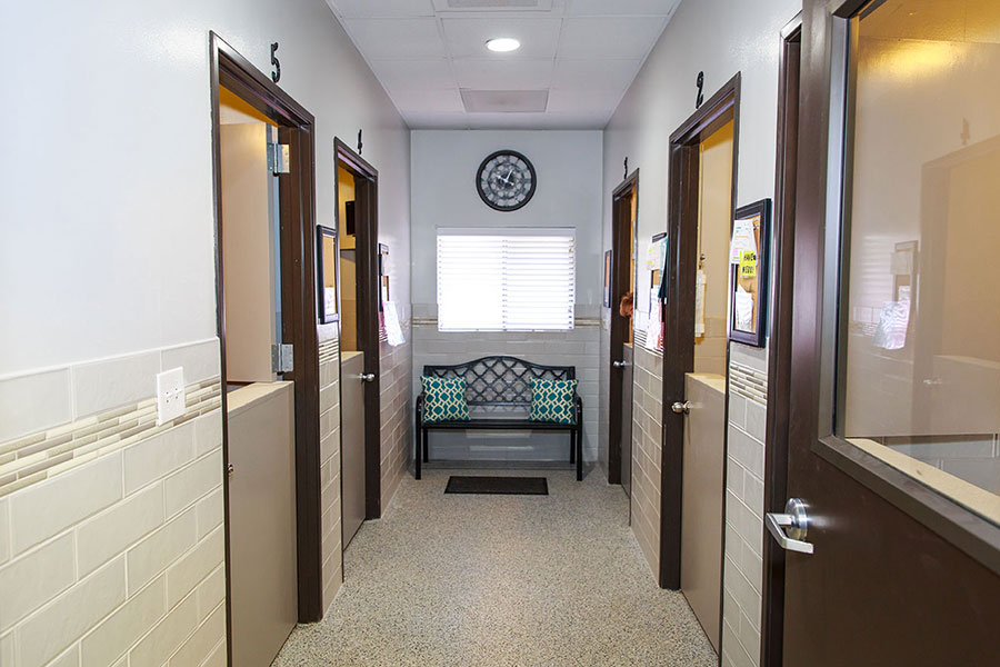 Dog boarding at Happy Tails Pet Resort