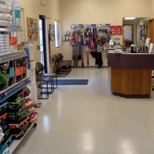 All City Pet Care West Waiting Area and reception desk