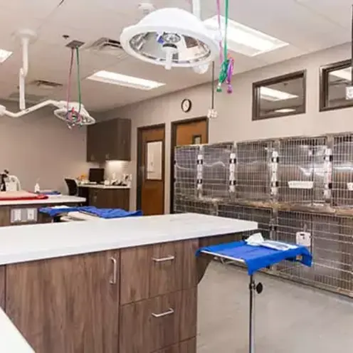 Operation Area Operation Area