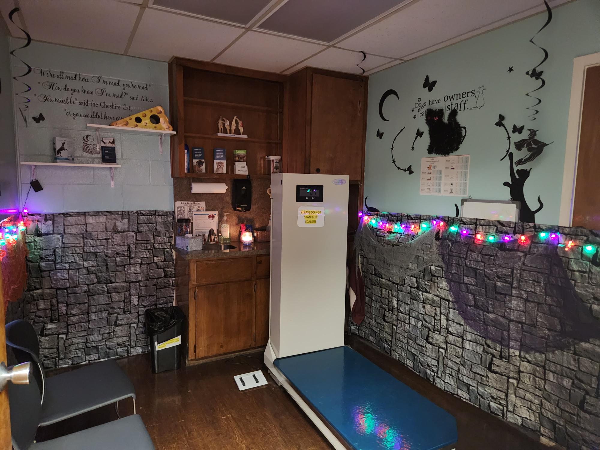 Exam area with scale decorated for Halloween