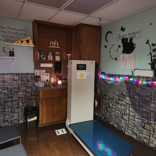 Exam area with scale decorated for Halloween