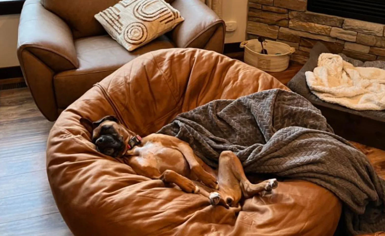 Boxer laying on a giant bean bag with a gray blanket Boxer laying on a giant bean bag with a gray blanket