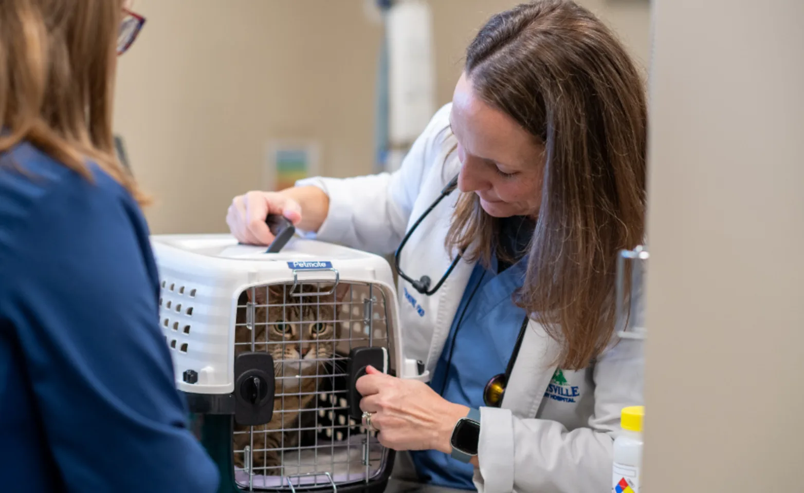 Gilbertsville VH Vets tending to cat in carrier Gilbertsville VH Vets tending to cat in carrier