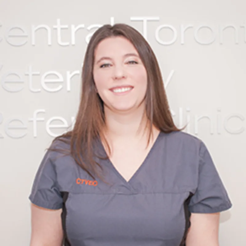 Jamie Druck Jamie Druck