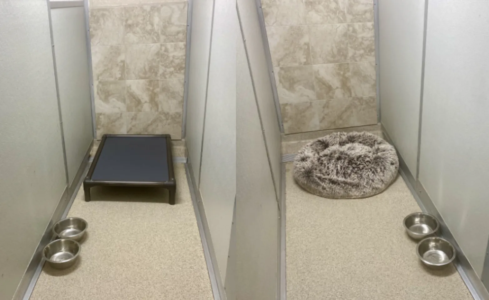 Kennel Rooms Inside of Plainfield Pet Resort Kennel Rooms Inside of Plainfield Pet Resort