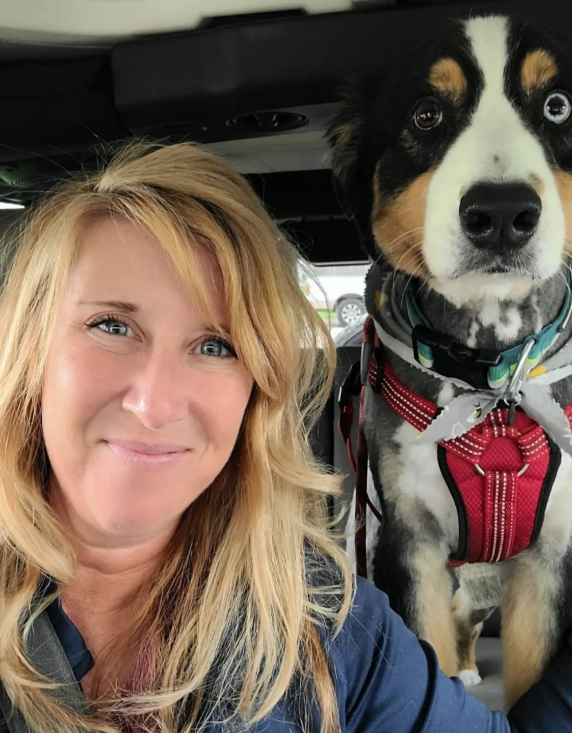 Certified Veterinary Technician Shannon Hagenbaumer Certified Veterinary Technician Shannon Hagenbaumer