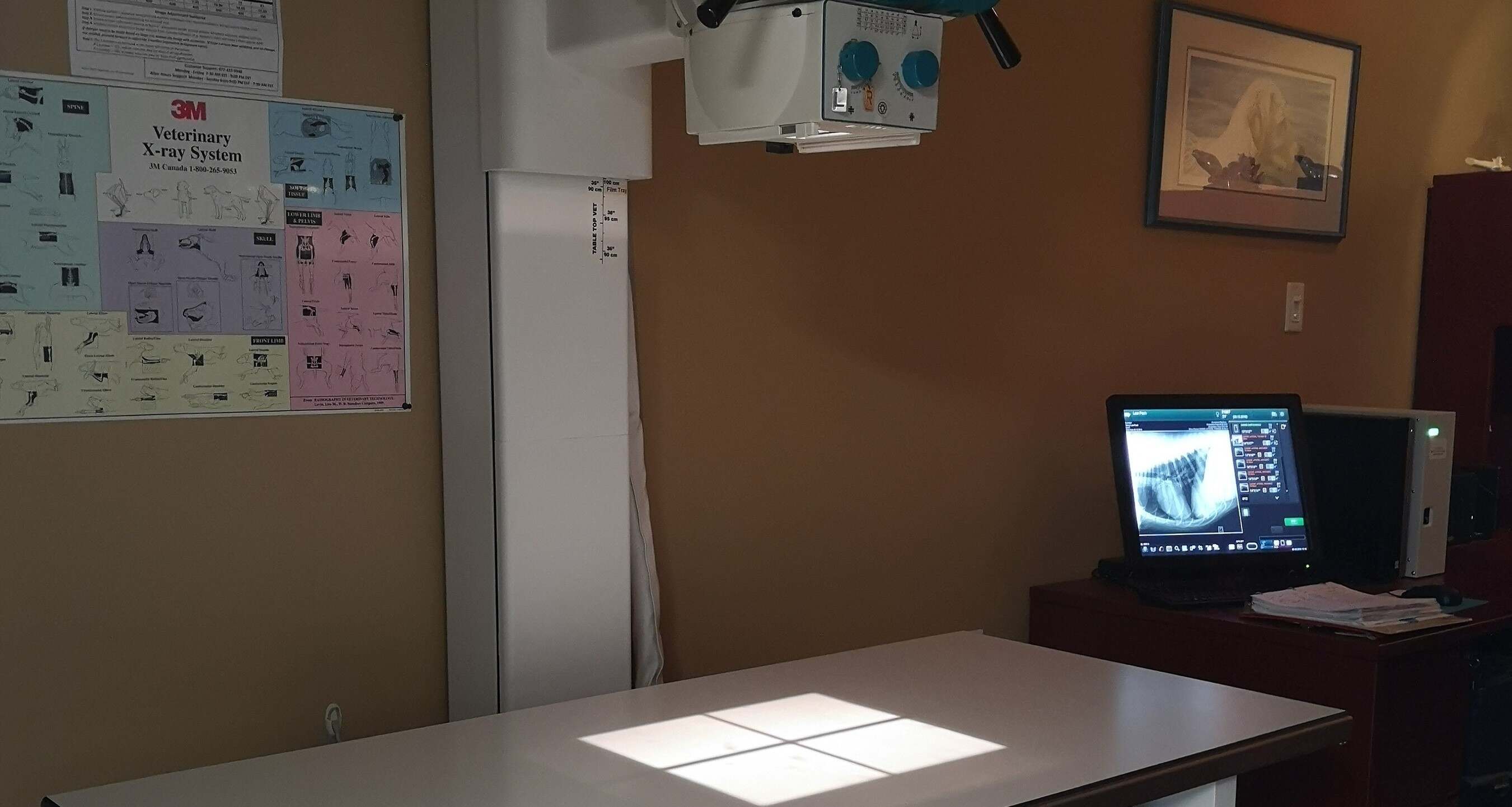 Three Islands Veterinary Services Xray 