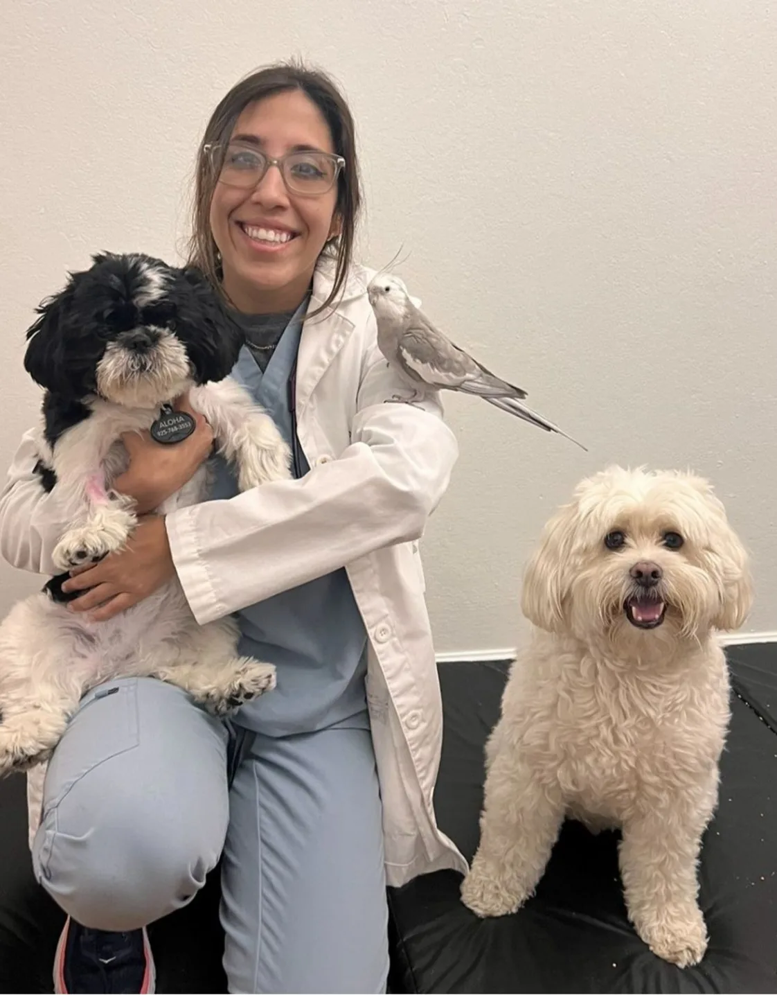 Dr. Jenelle Pinon Dr. Jenelle Pinon