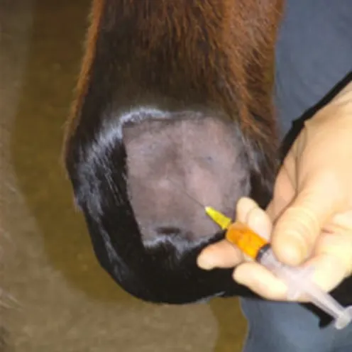 IRAP Harvesting & Injecting 4 IRAP Harvesting & Injecting 4