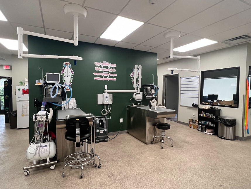 Pleasanton Veterinary Hospital Treatment Room