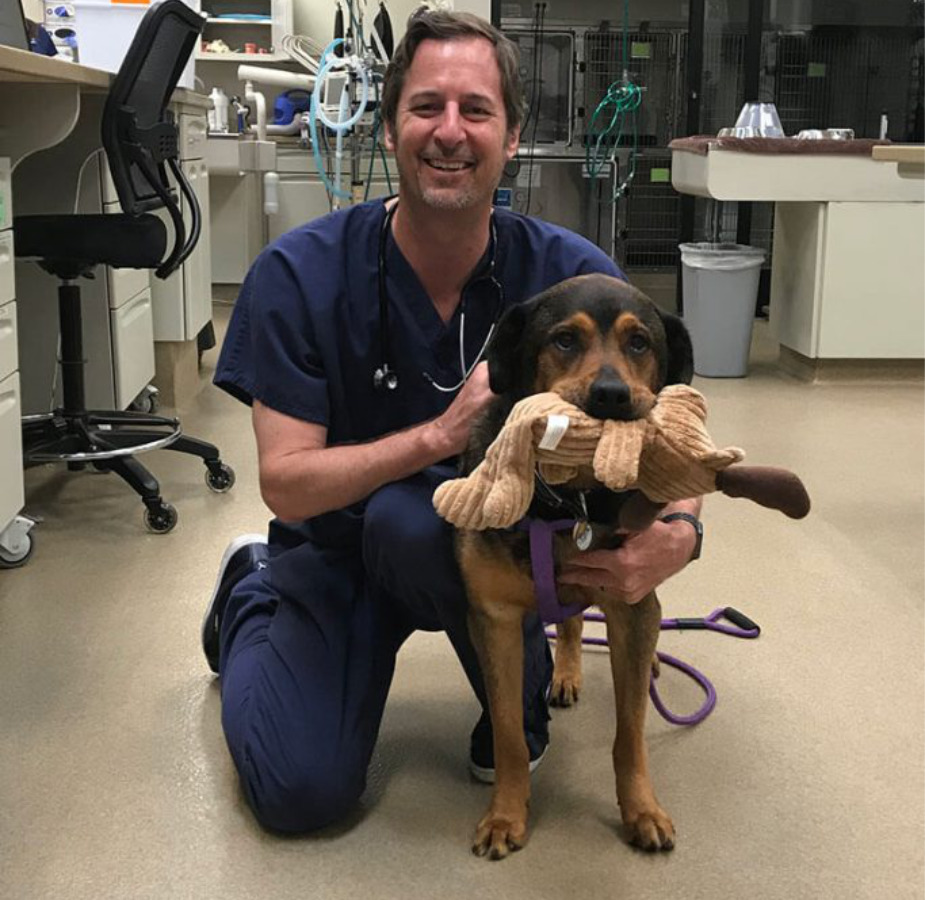 Dr. Hughes kneeling with a tan and black dog holding a toy in its mouth