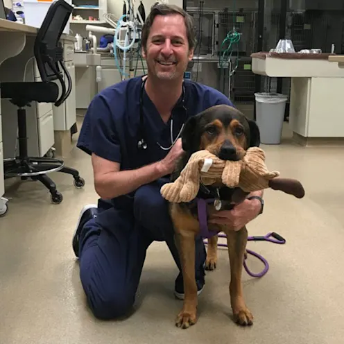 Dr. Hughes kneeling with a tan and black dog holding a toy in its mouth Dr. Hughes kneeling with a tan and black dog holding a toy in its mouth