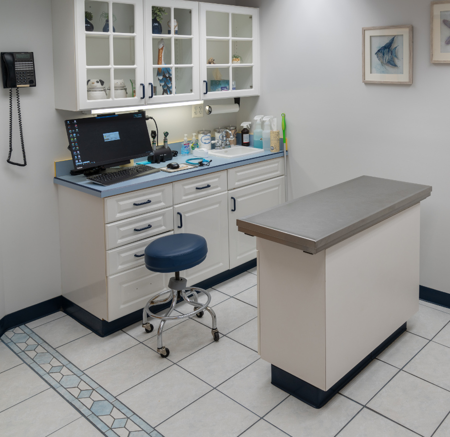 Exam room 2 table and medical tools