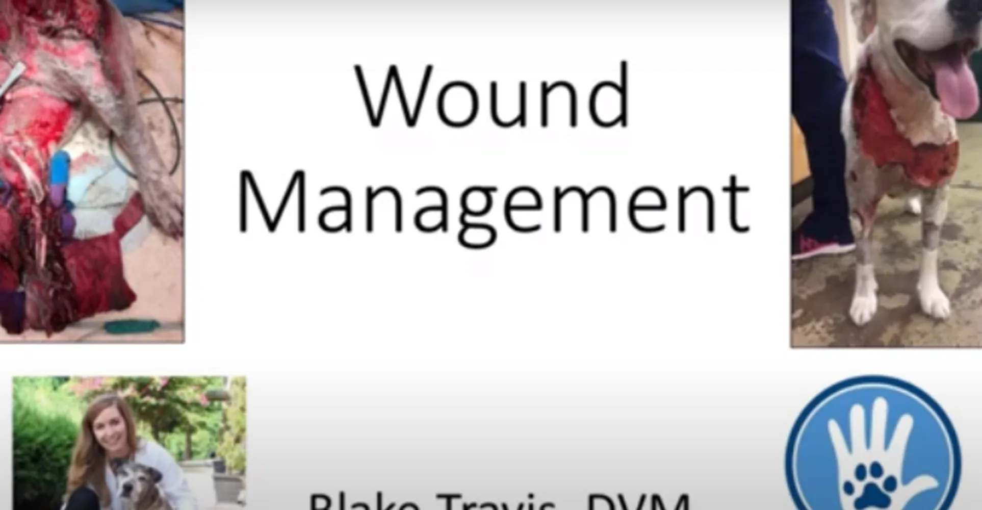 Wound Management Video