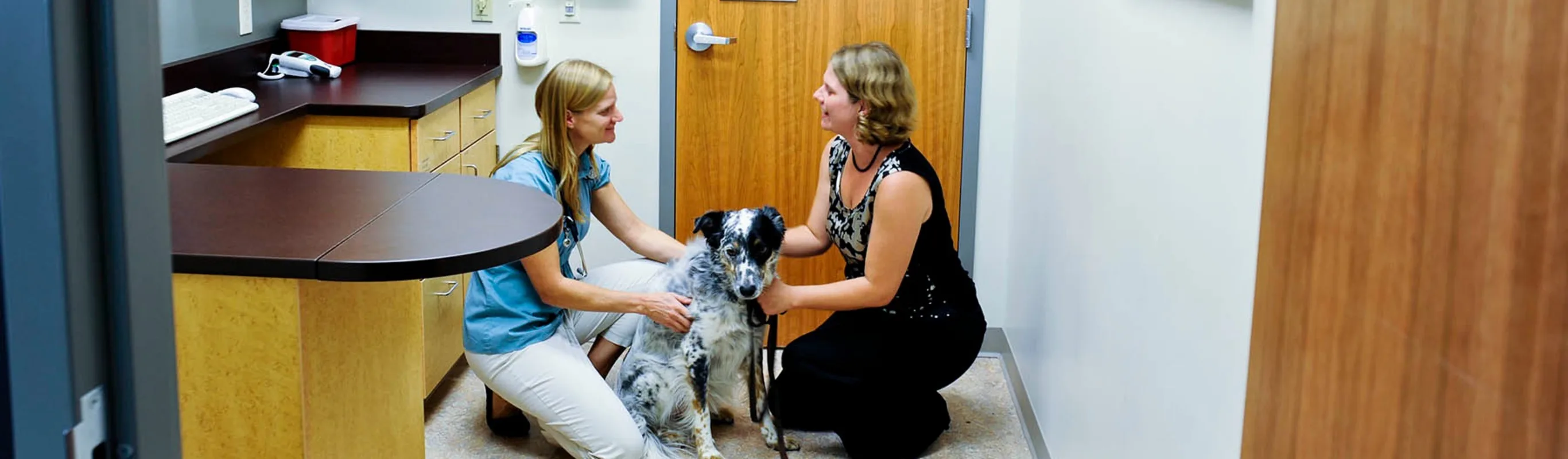 Exam room with doctor and client Exam room with doctor and client