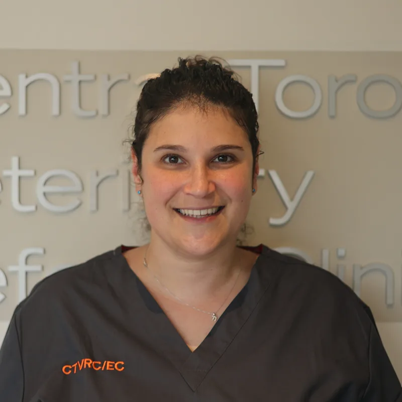 Rebecca Bernstein Rebecca Bernstein