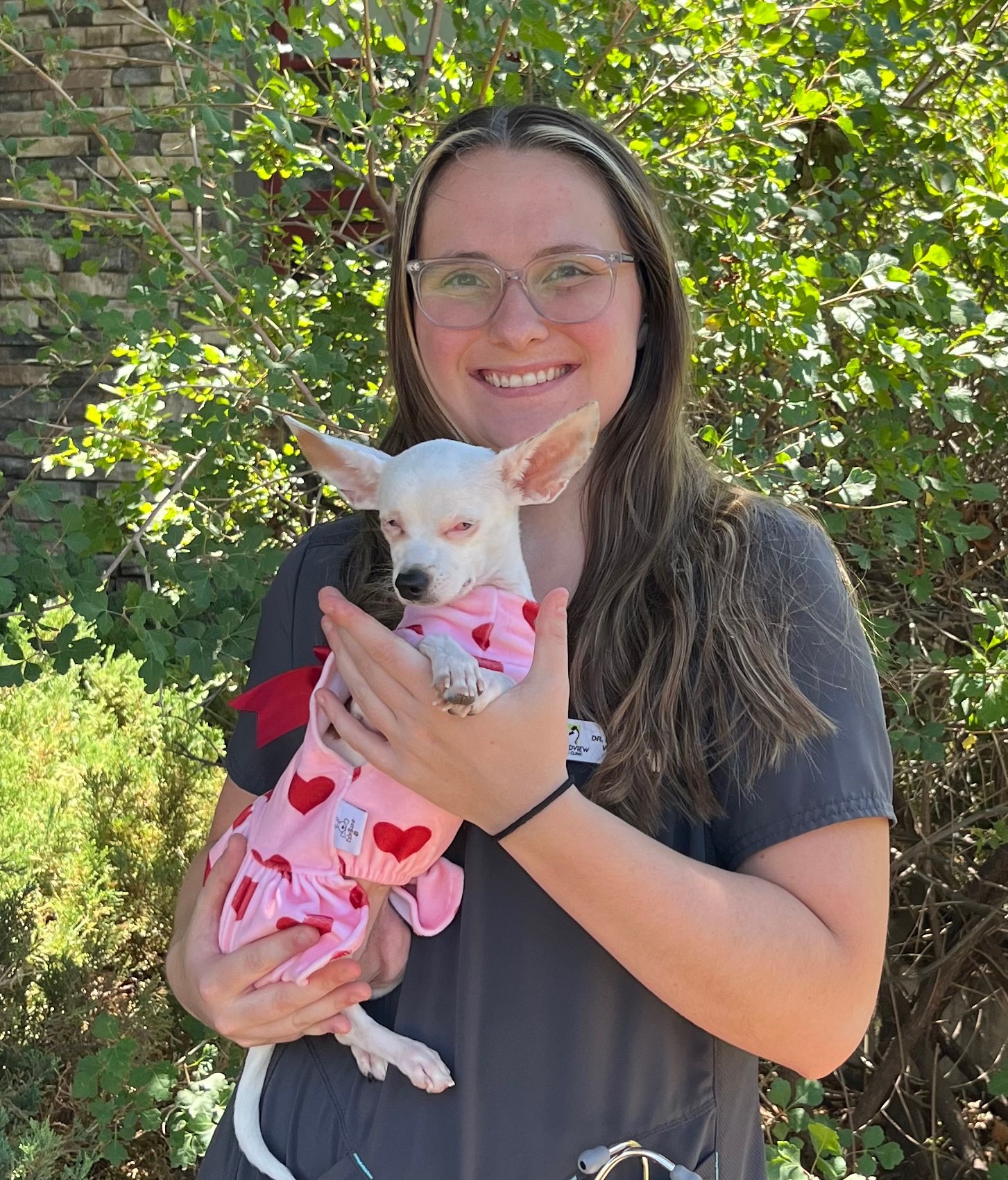 Maddox Seibel, DVM