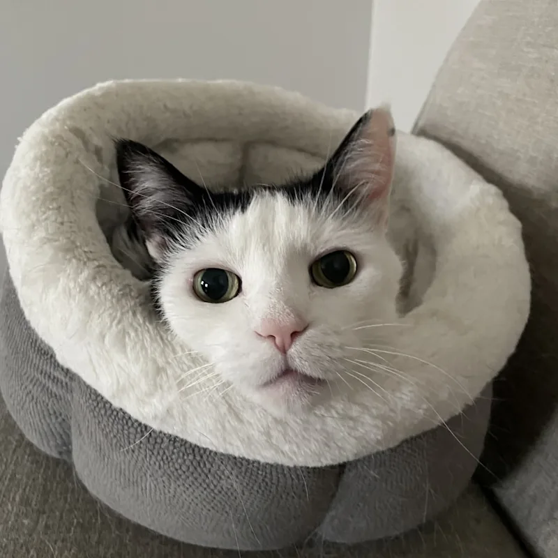 Perry Hall Animal Hospital Monty and Marge Perry Hall Animal Hospital Monty and Marge