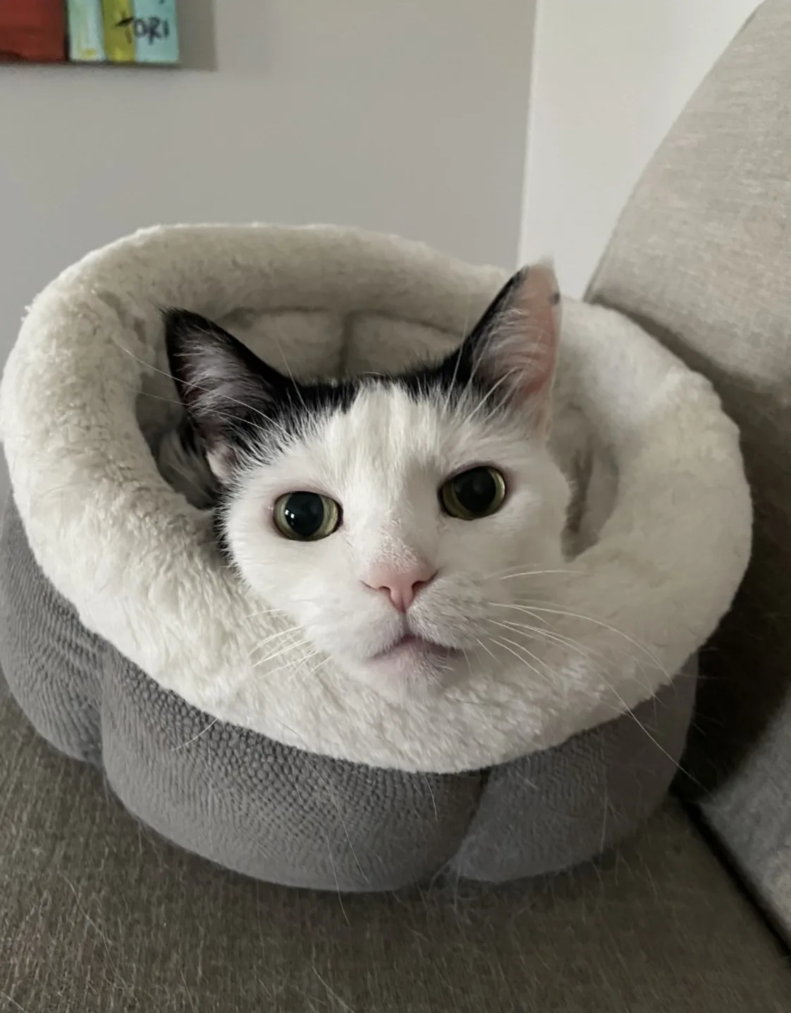 Perry Hall Animal Hospital Monty and Marge Perry Hall Animal Hospital Monty and Marge