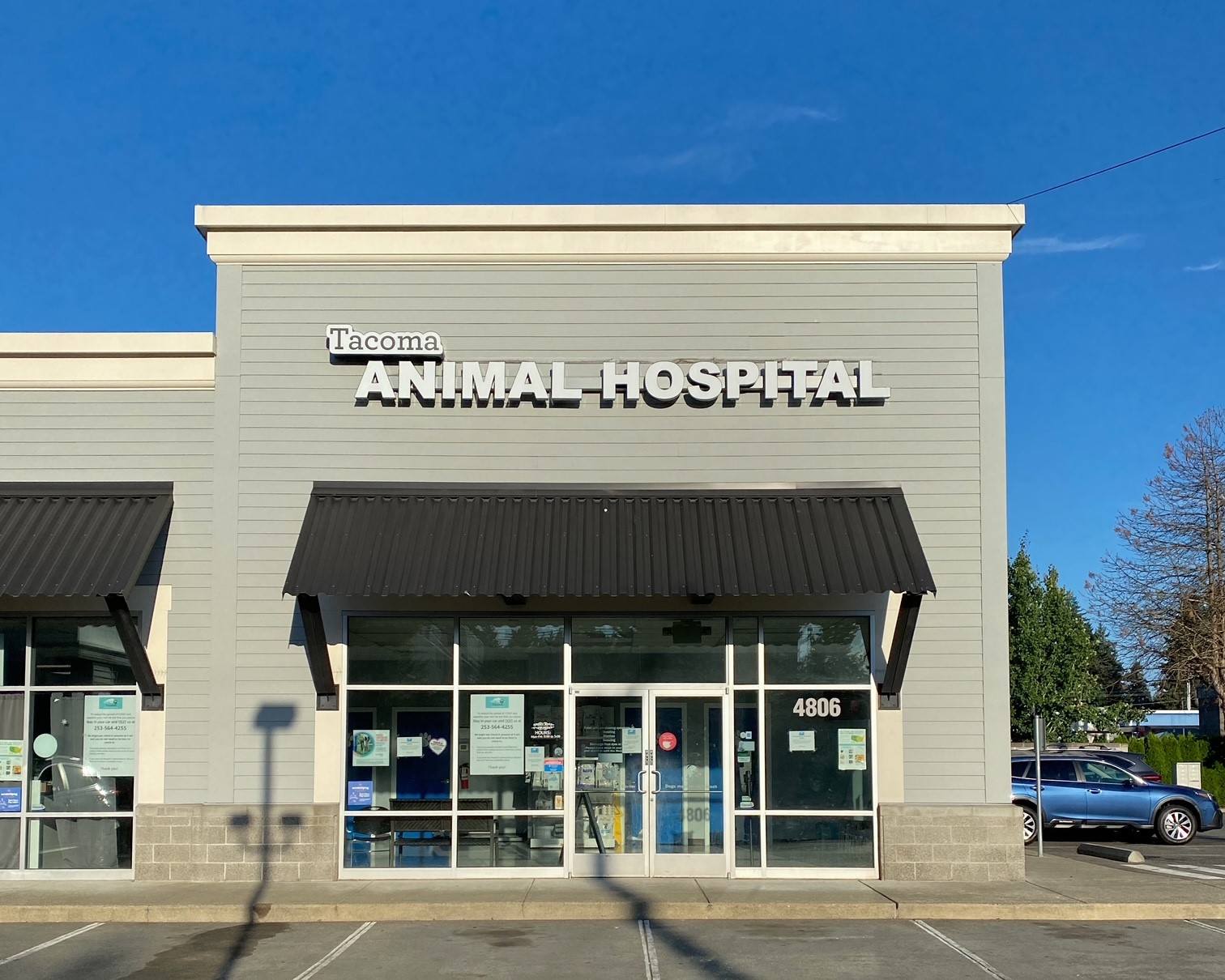 Our Veterinary Services | Tacoma Animal Hospital