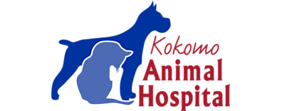 Kokomo Animal Hospital Logo Kokomo Animal Hospital Logo