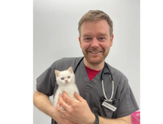 A Valley Veterinary staff member holding a kitten A Valley Veterinary staff member holding a kitten