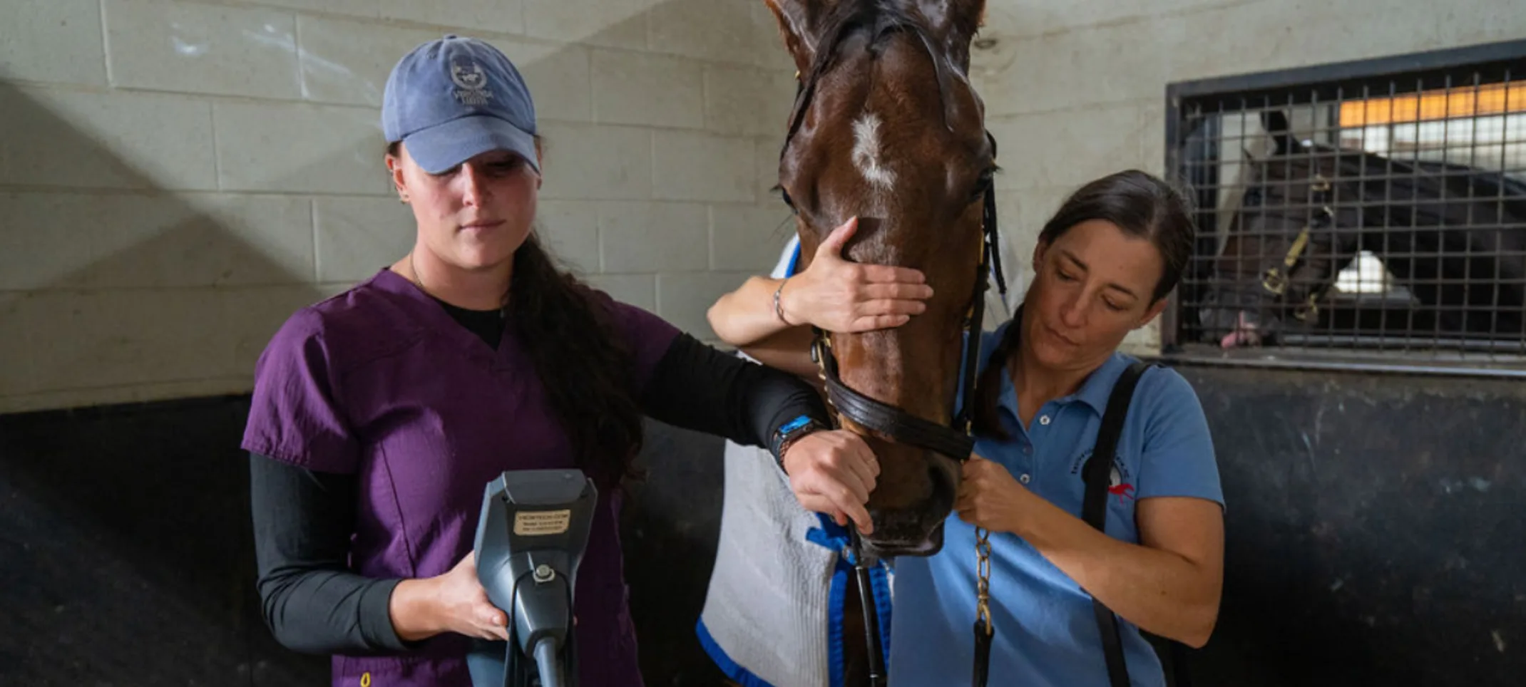 A staff member holding a horse steady while another staff member reviews and imaging device A staff member holding a horse steady while another staff member reviews and imaging device
