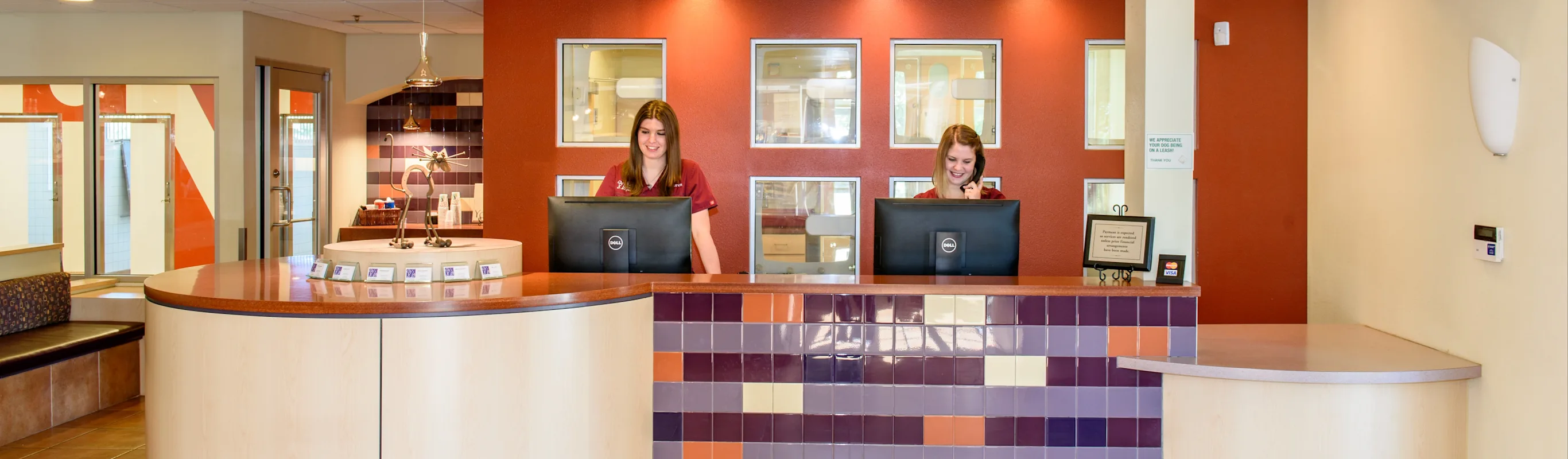 Front Reception desk with purple and orange coloring at South Suburban Animal Hospital Front Reception desk with purple and orange coloring at South Suburban Animal Hospital