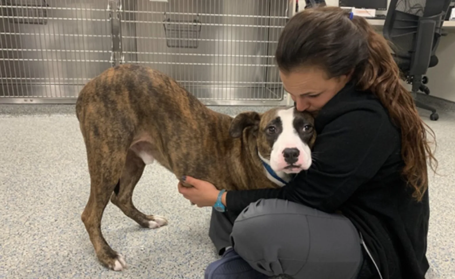 Dog Cuddling with a Vet Dog Cuddling with a Vet