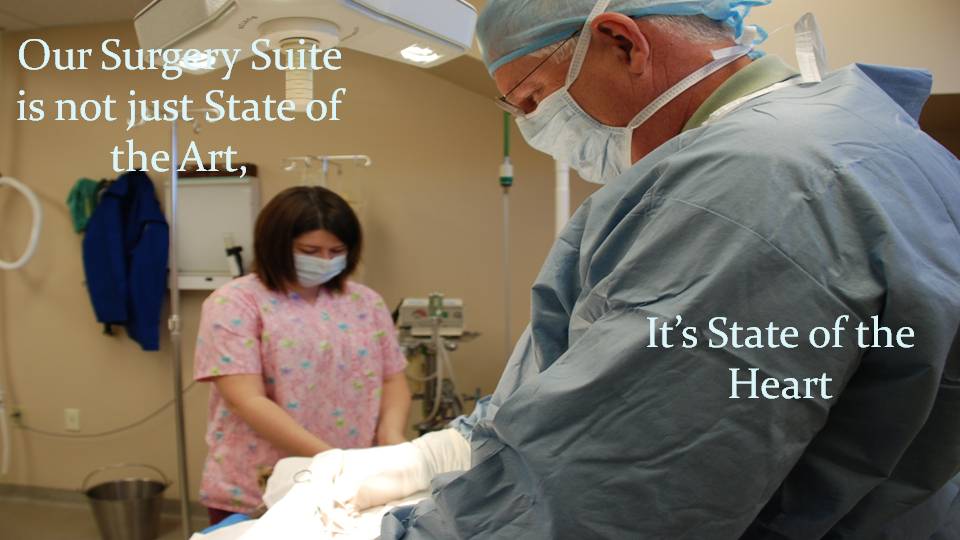 State-of-the-art surgery suite at Kettering Animal Hospital