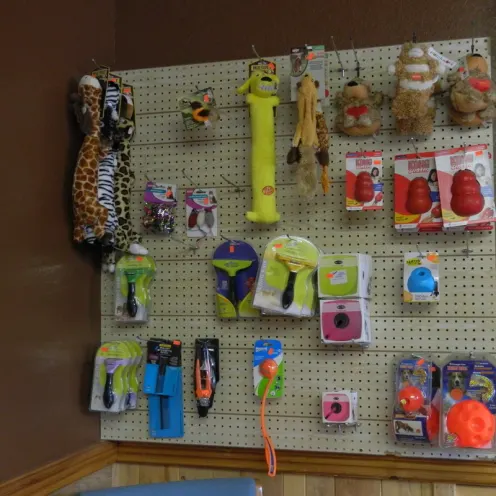 An assortment of dog toys available at All Creatures Veterinary Clinic