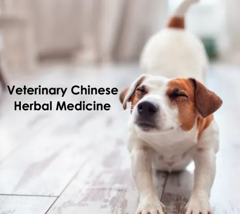 VCHM Veterinary Chinese Herbal Medicine 
