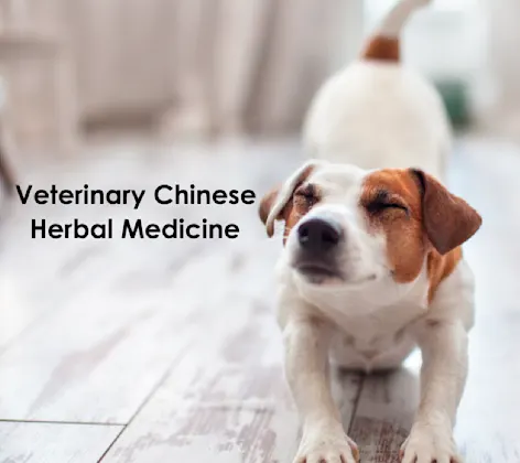 VCHM Veterinary Chinese Herbal Medicine VCHM Veterinary Chinese Herbal Medicine