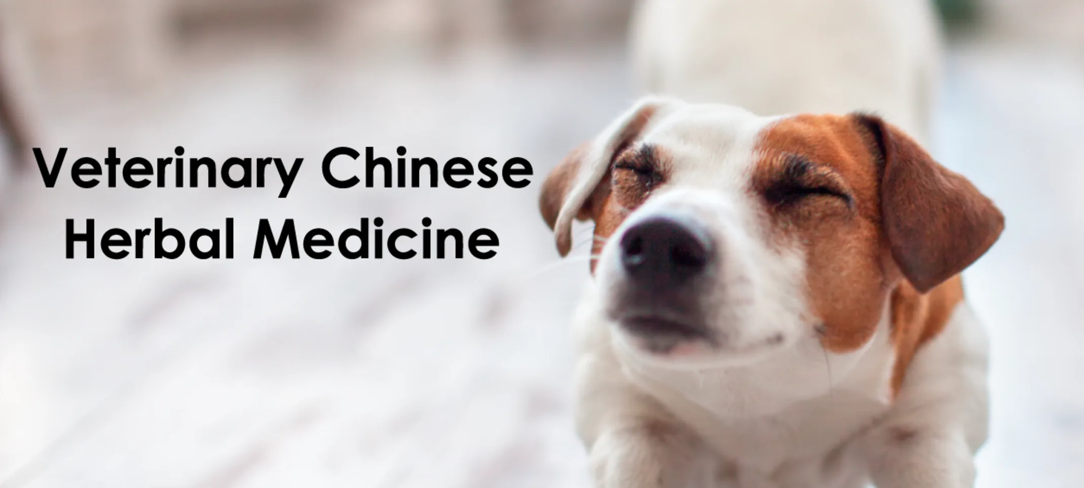 VCHM Veterinary Chinese Herbal Medicine 