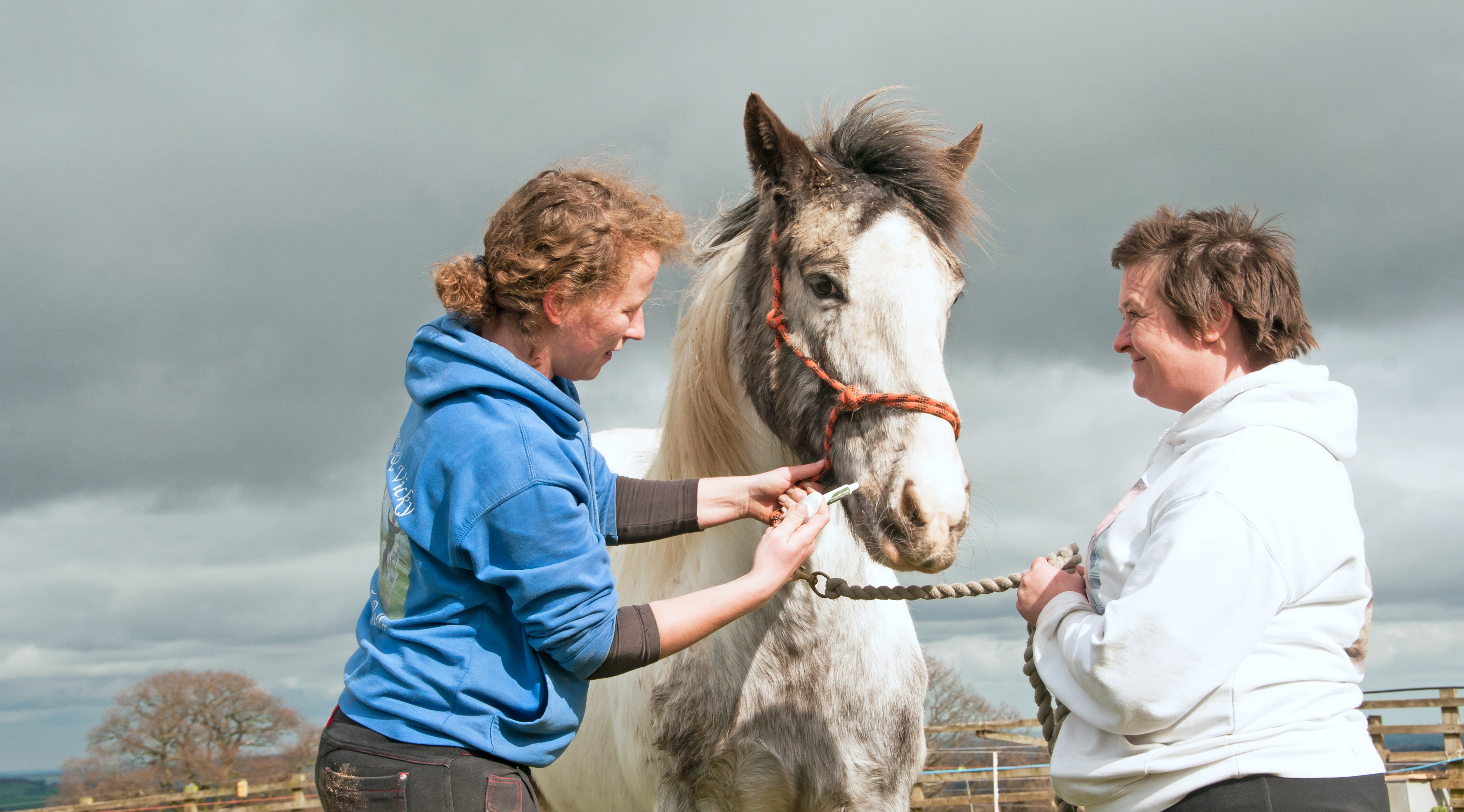 Two women holding a horse by the reigns