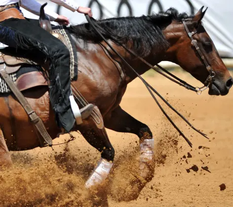 Side view of the rider sliding his horse forward on the clay field raising up the clouds of dust