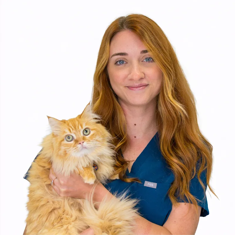 Hannah Hannah