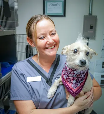 Brandi Barrett Brandi Barrett