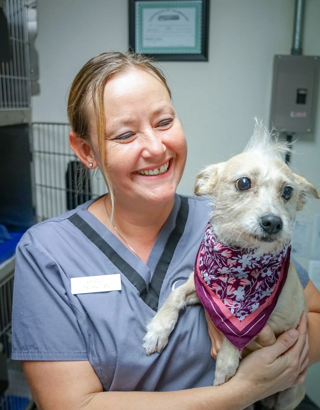 Brandi Barrett Brandi Barrett