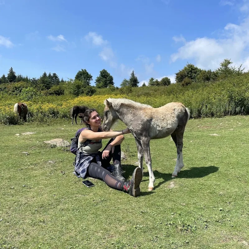 Dr. Katelyn Godwin Dr. Katelyn Godwin