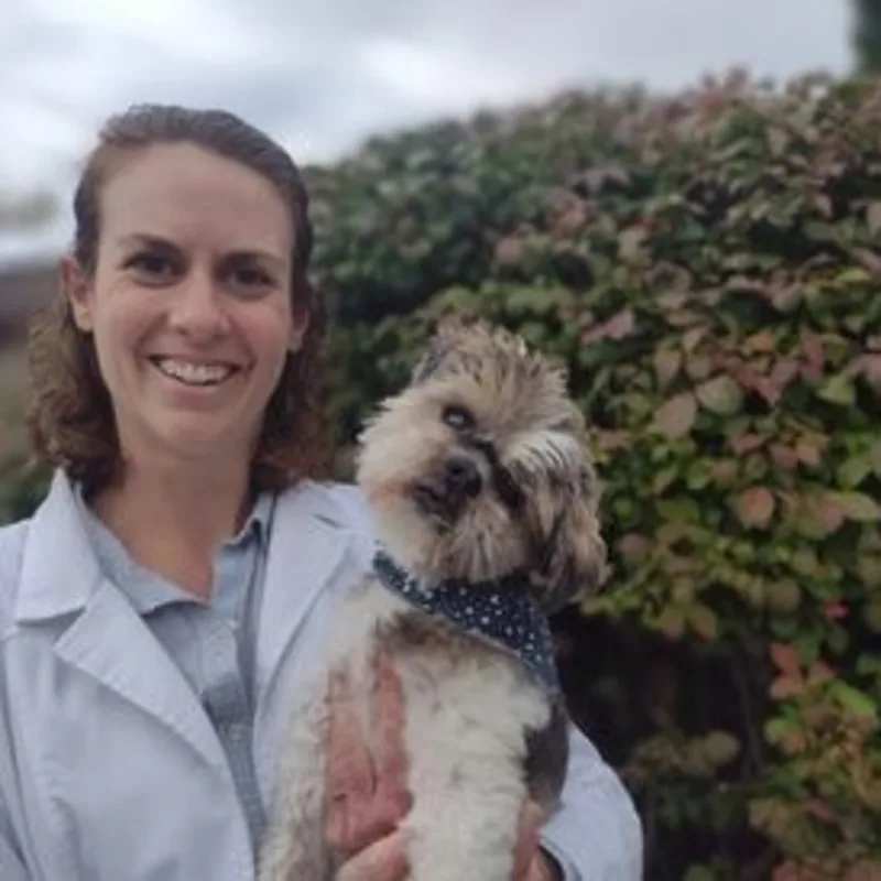 Dr. Molly Houle Dr. Molly Houle