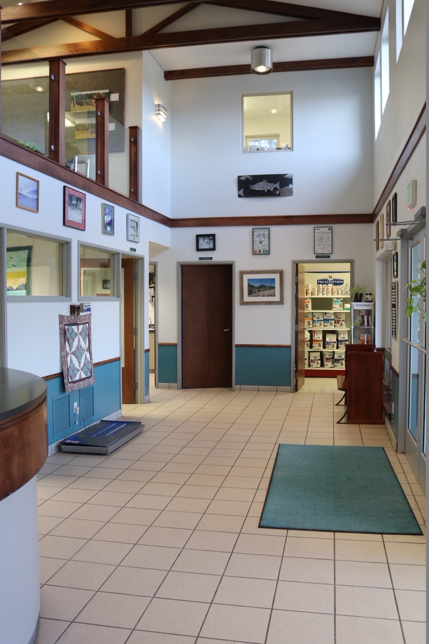 Front lobby at Soldotna Animal Hospital