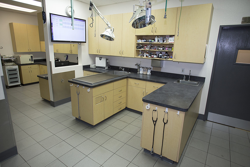 Lab and exam area at Goldorado Animal Hospital