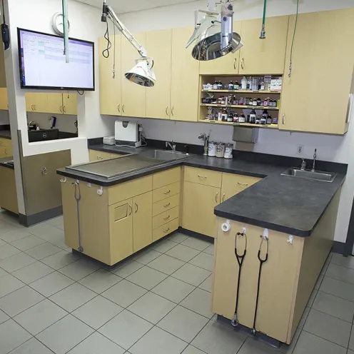 Lab and exam area at Goldorado Animal Hospital