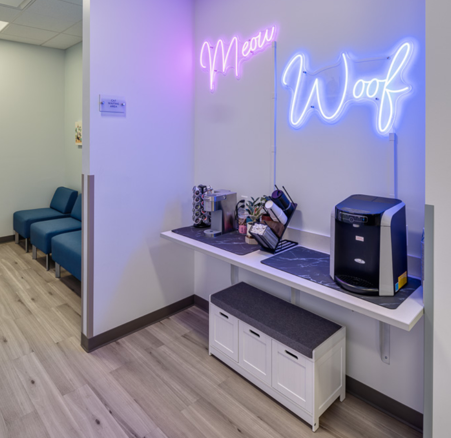 Client Refreshment Station and Feline Waiting