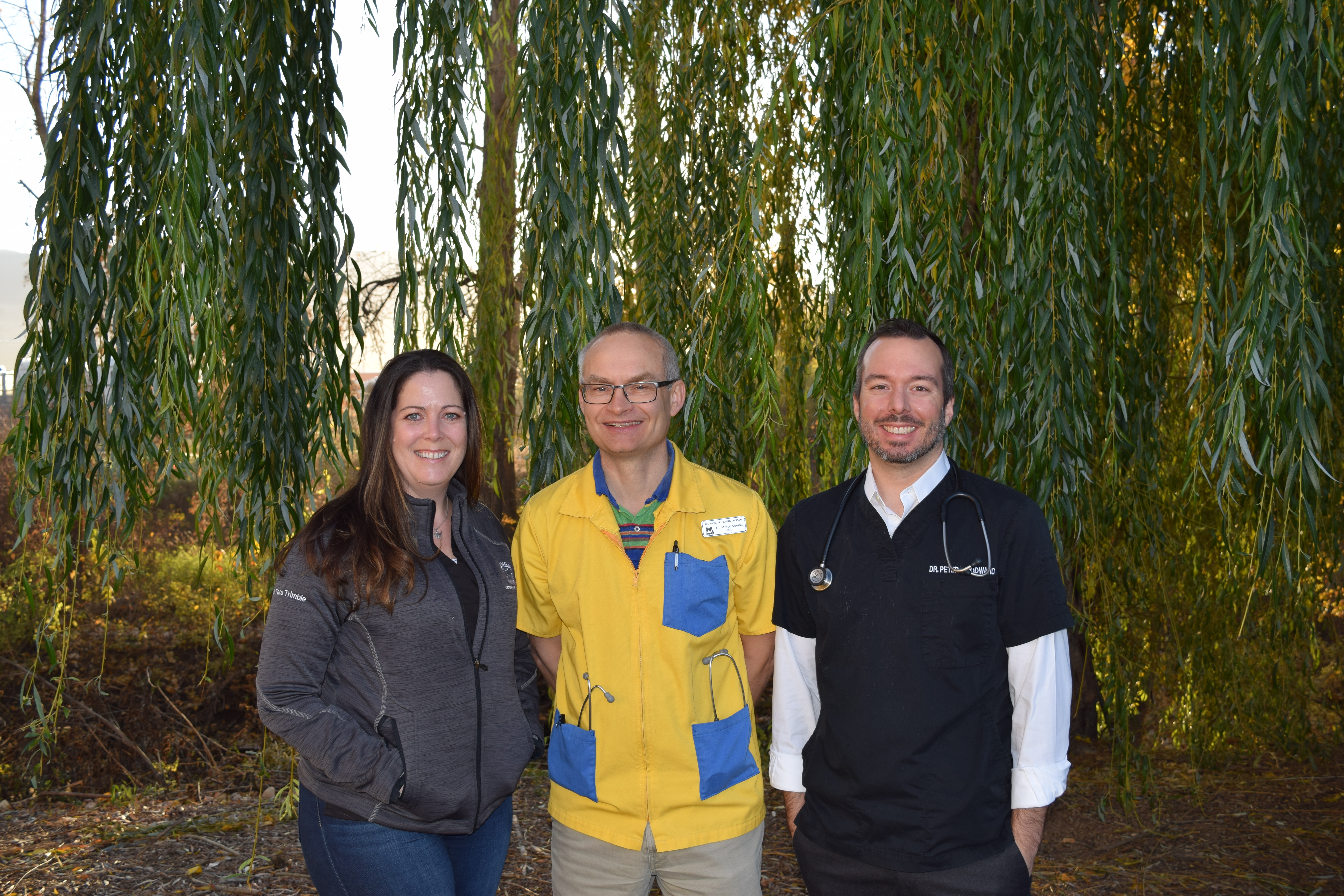 Okanagan Veterinary Hospital doctors standing in front of a leafy green background.