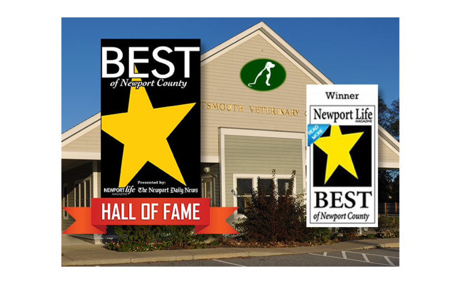 Best of Newport