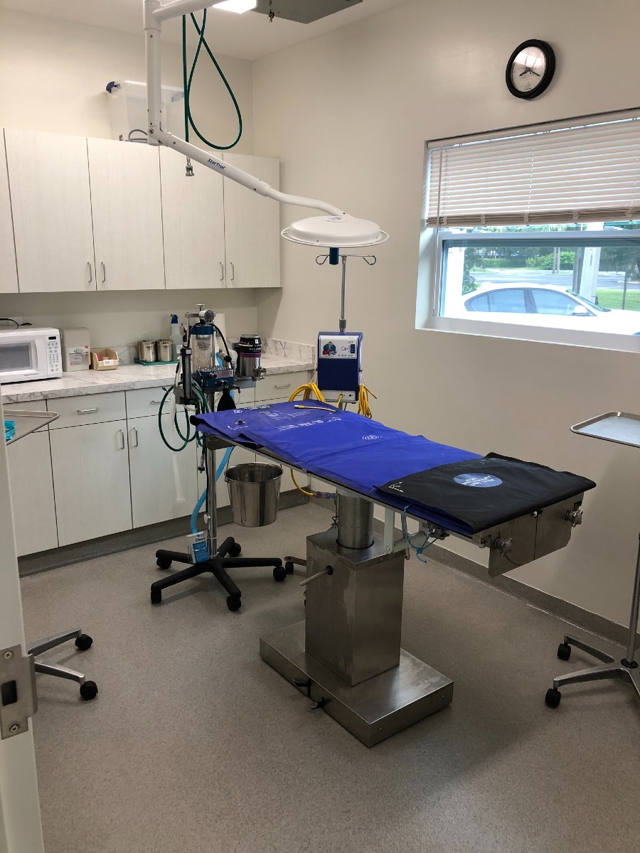 Operating table in surgery suite