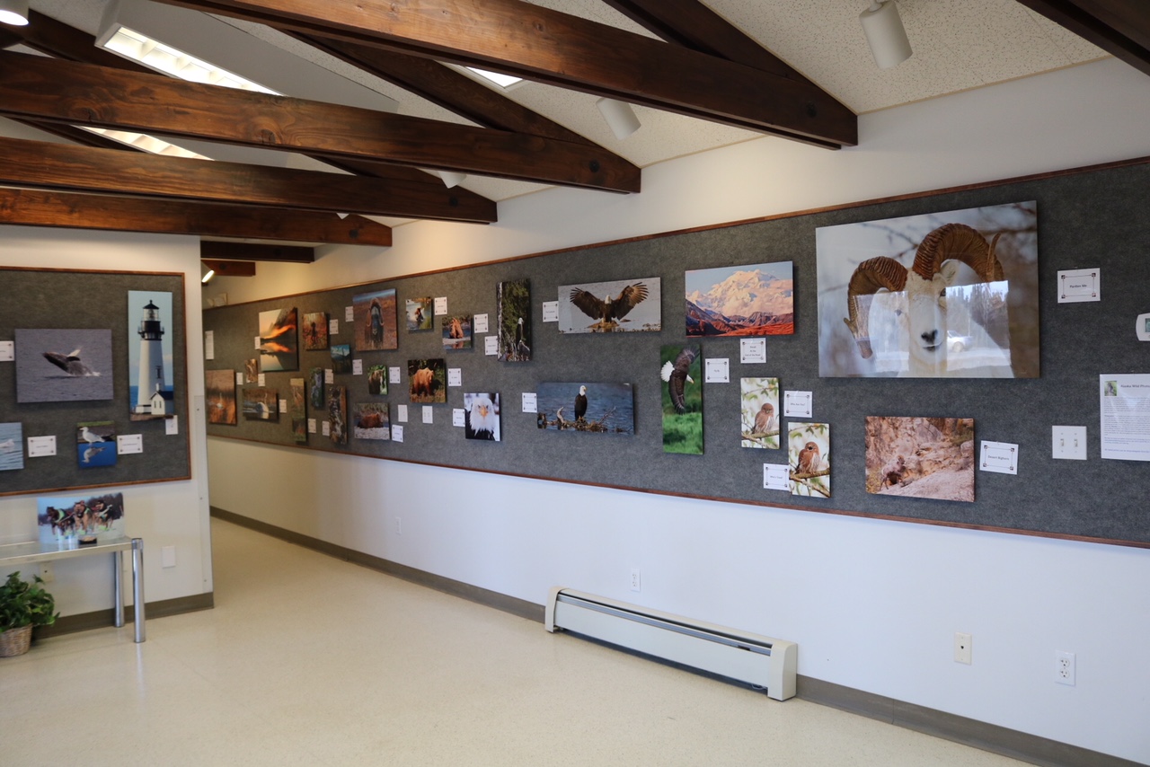 Soldotna Animal Hospital Gallery